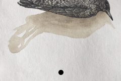 FullSizeRender_1-scaled